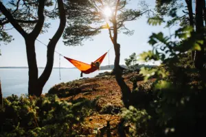 A Summer Pause